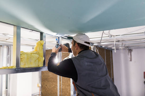 Best Professional Insulation Contractor  in Piperton, TN